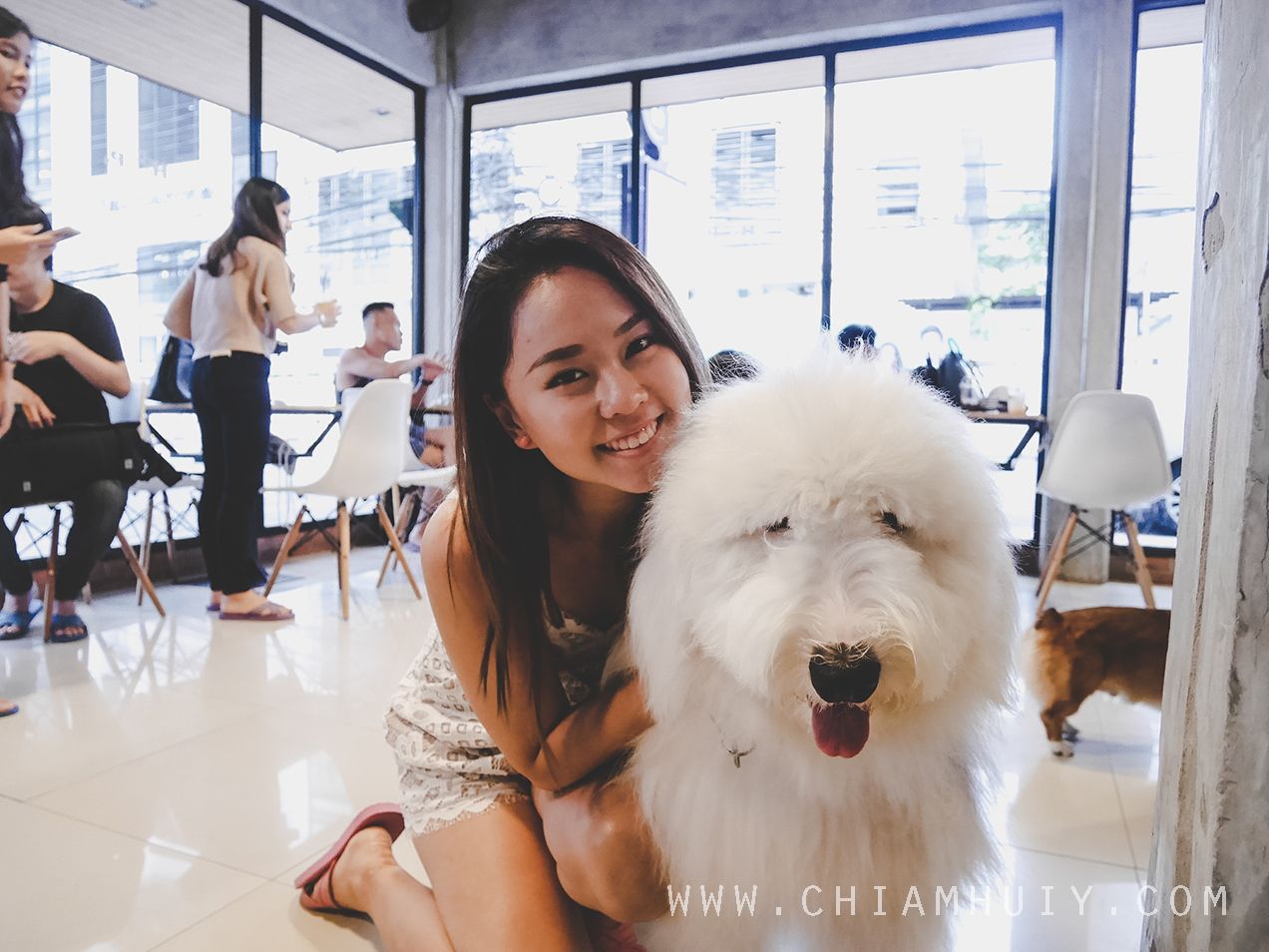  photo hope for paw cafe bangkok.jpg