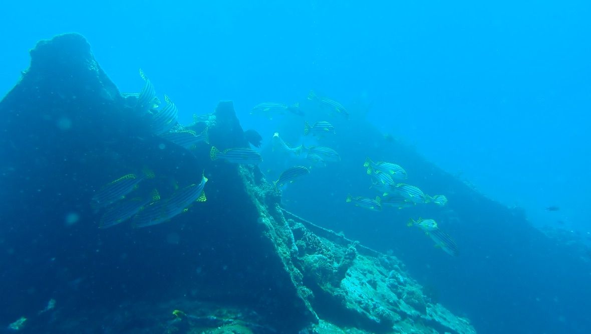 Bali diving 173