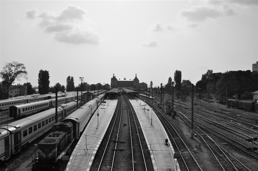 08Large-1.jpg