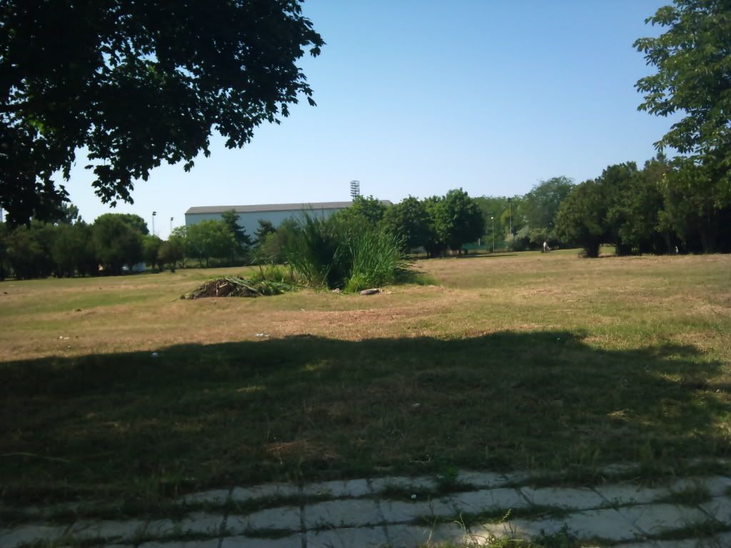 Posted Image