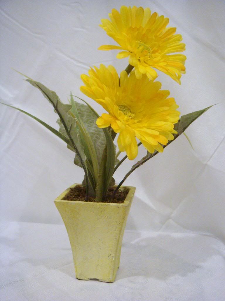 Potted Yellow Daisy Potted Yellow Daisy