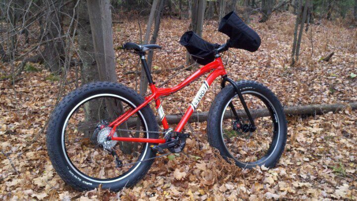 reid boss fat bike