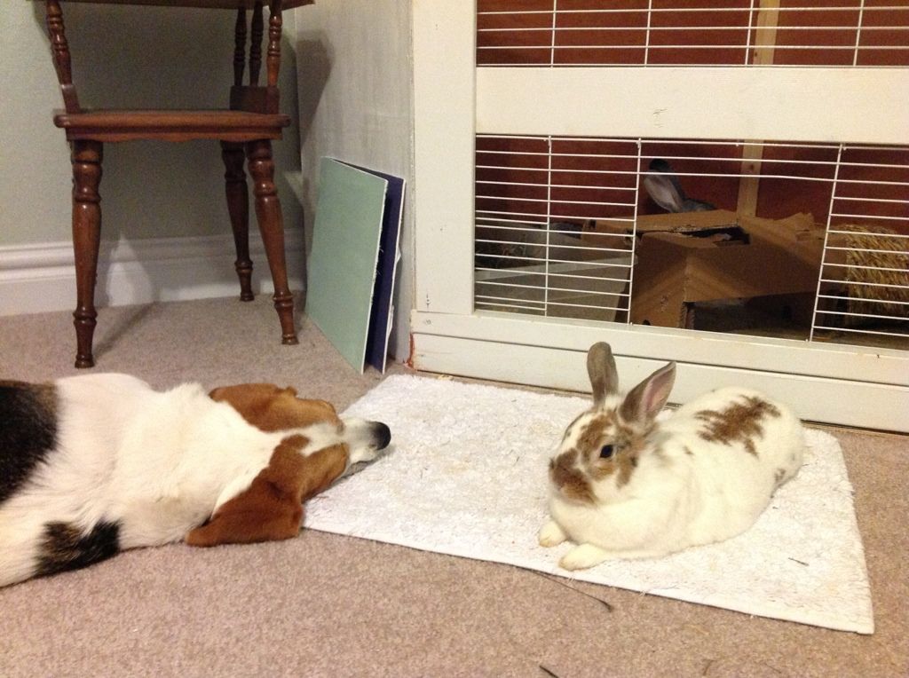 Uploaded from the Photobucket iPhone App