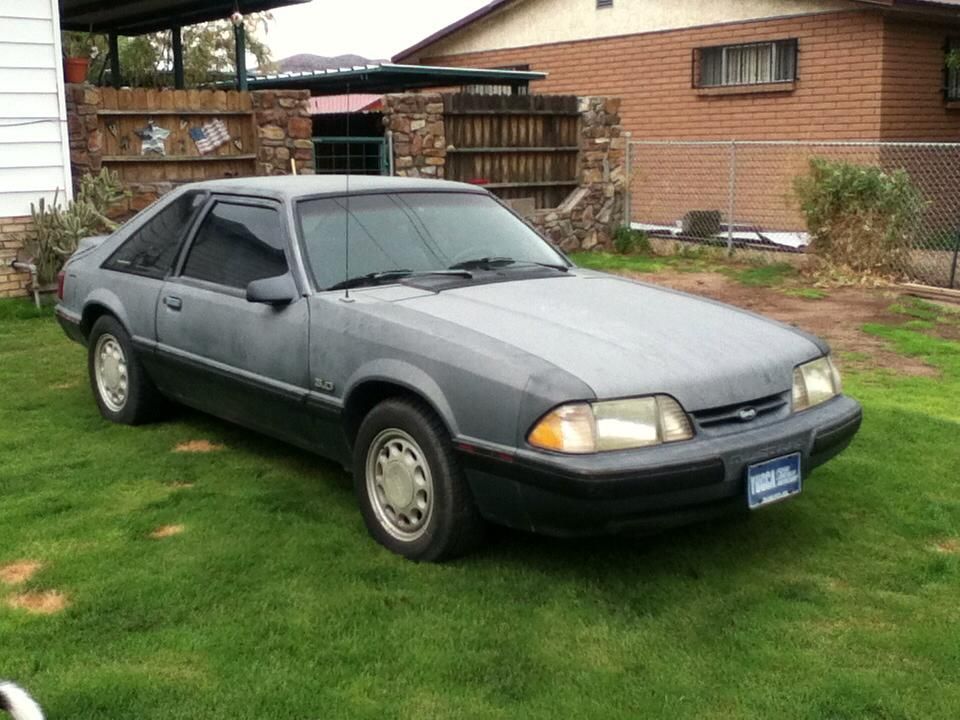 3665_450008035097962_205904672_n_zps789b