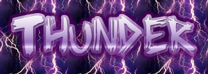 Thunder Wrestling Inc. [TWI]™ banner