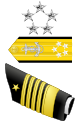 Fleet Leader/Fleet CO Fleet Leader/Fleet CO