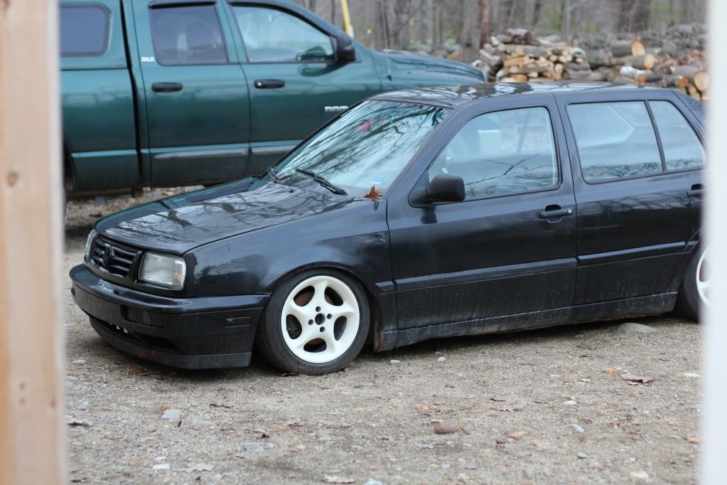 jetta1.jpg