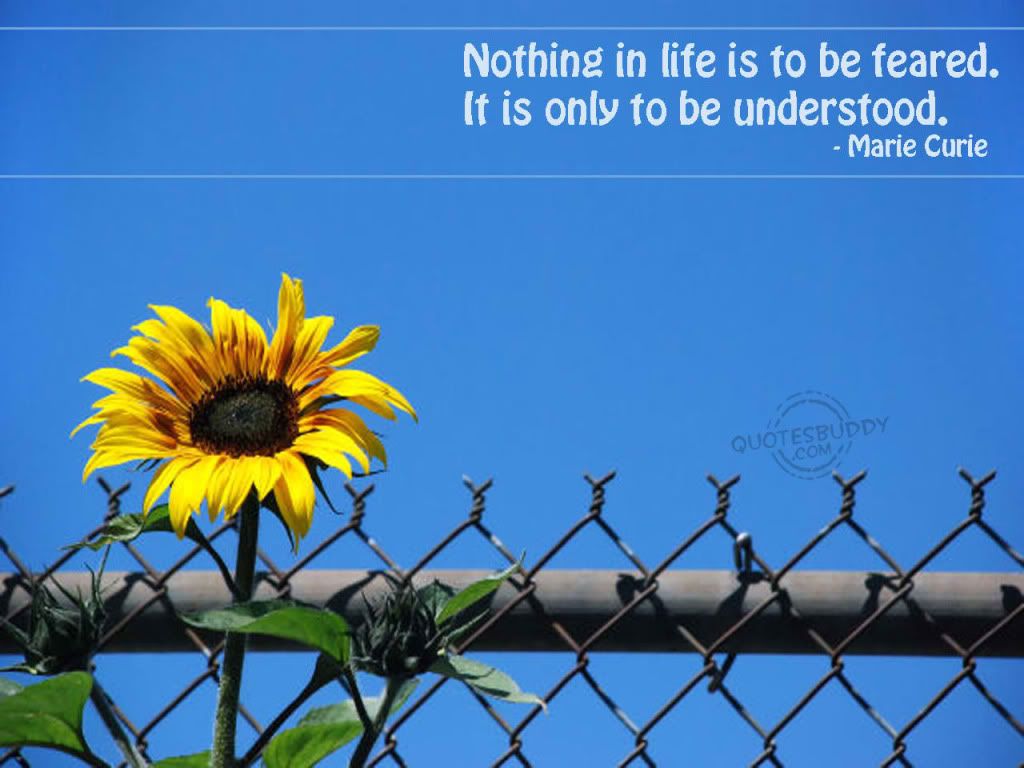 life quote Pictures, Images and Photos
