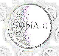 Soma Effects