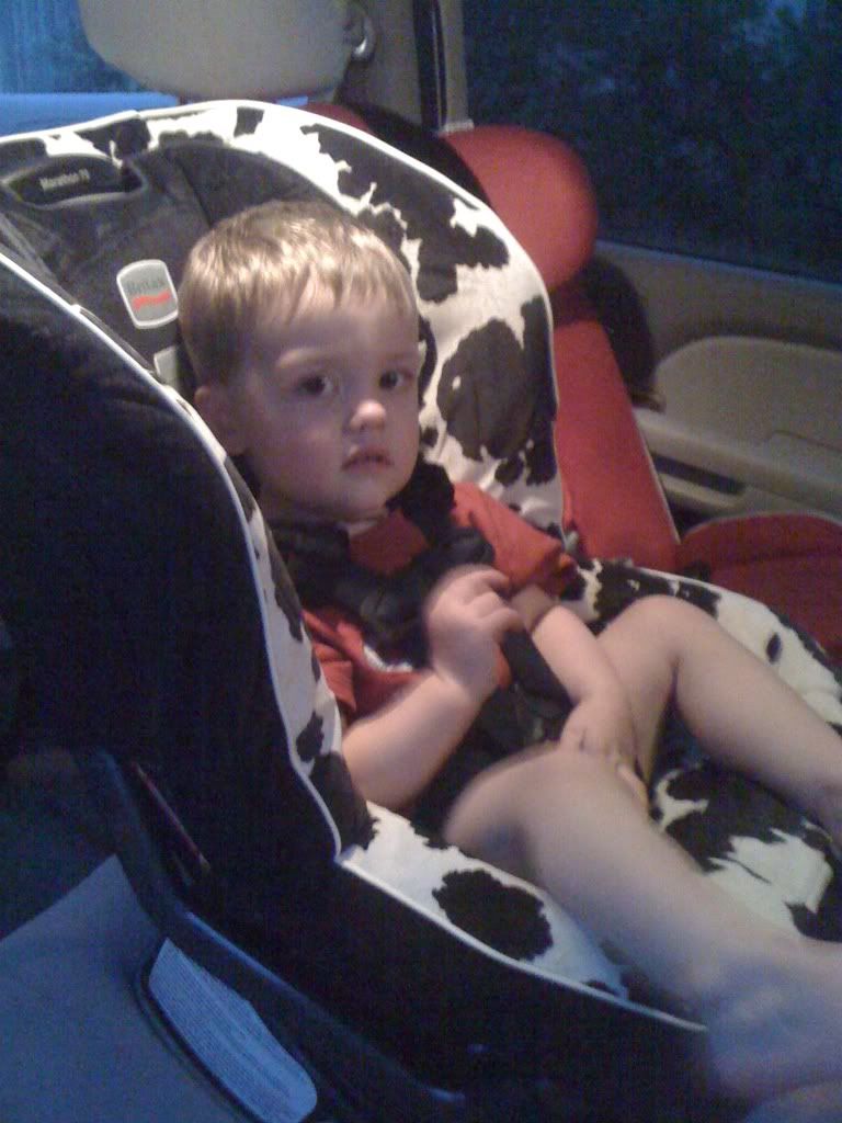 Question Safety difference between high back boosters and