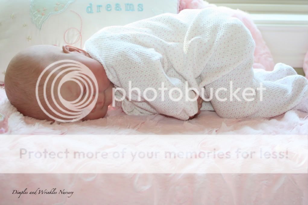 Reborn Baby Girl Lifelike Doll Art Painted Hair Big Chubby Libby Musgrove